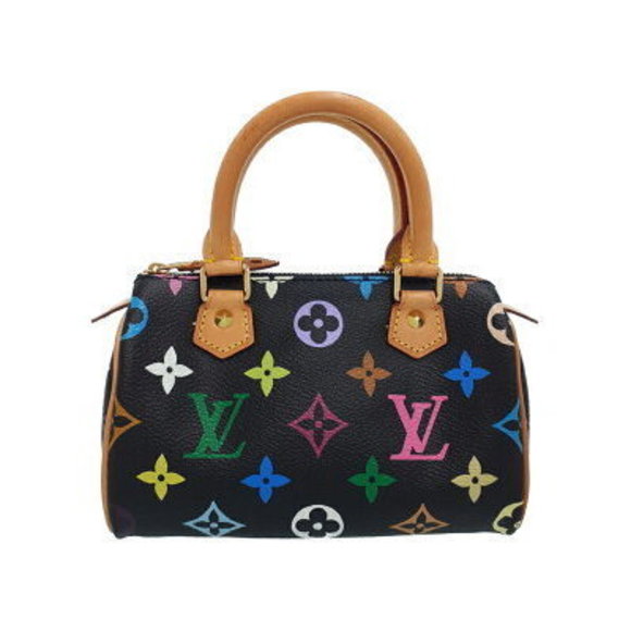 Louis Vuitton Multicolor Speedy Handbag - Picture 1 of 8